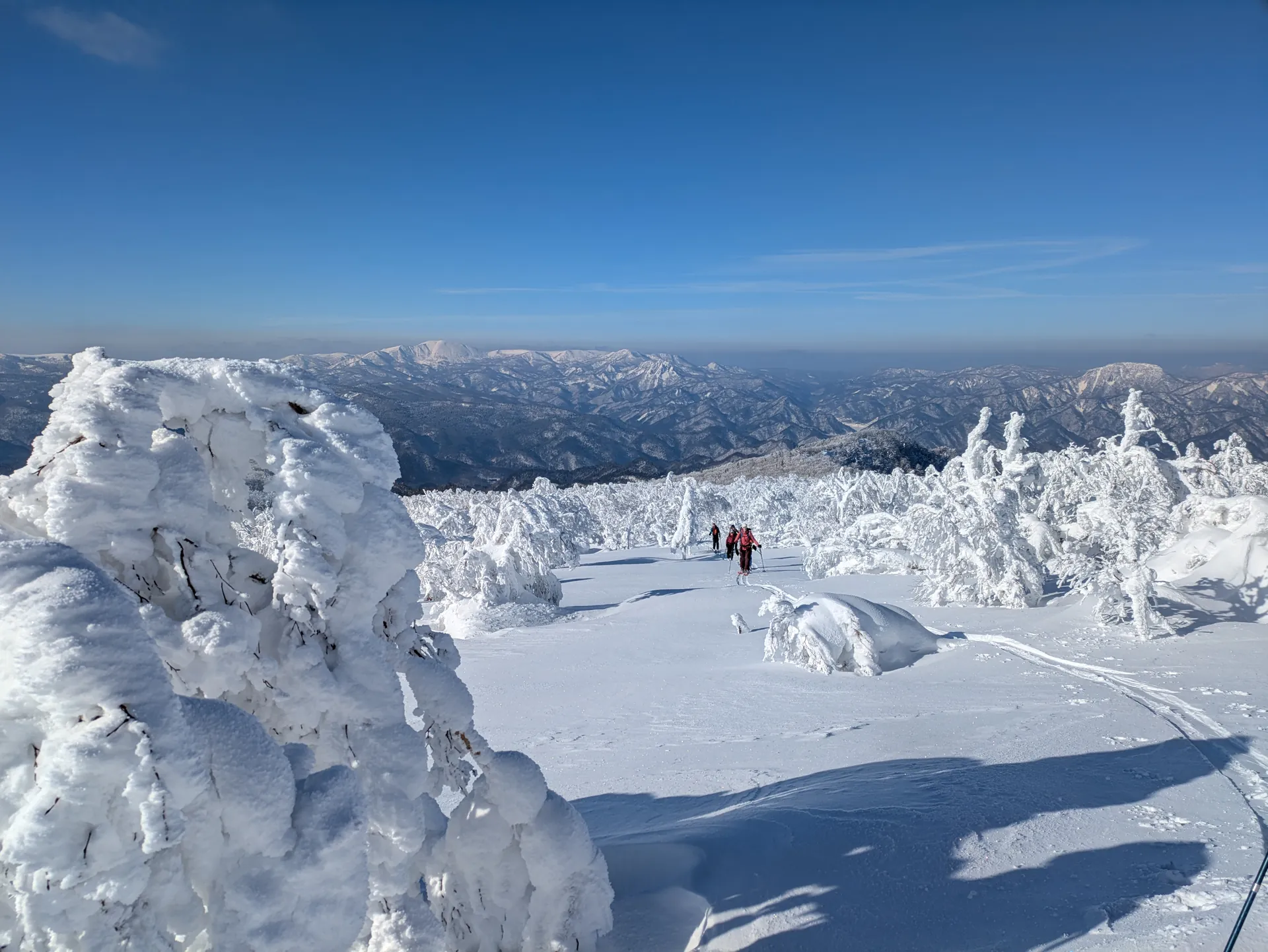 Eisbäume auf Hokkaido