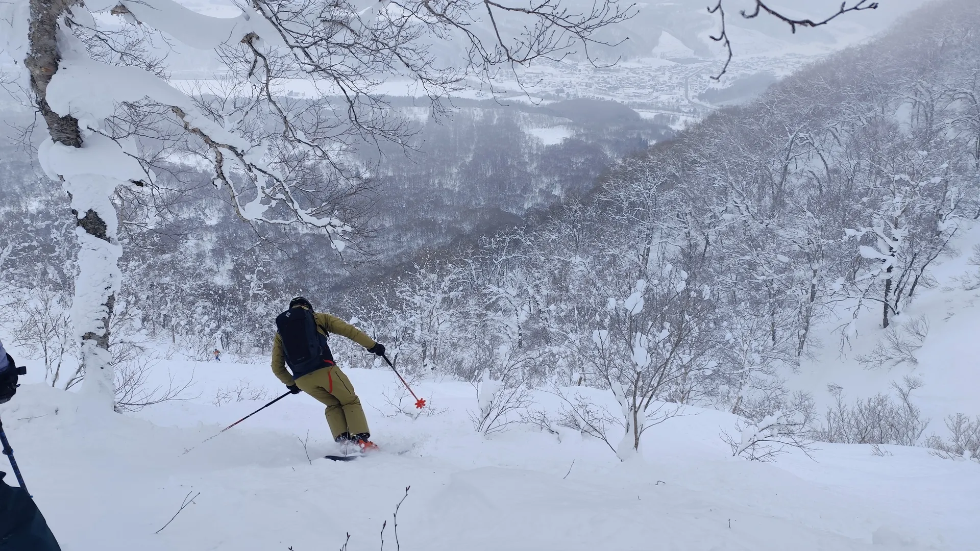 Tiefschnee im Wald auf Hokkaido