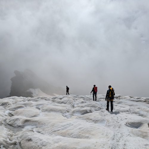 Gletscher Kurs Gletscher Ausbildung Ausbildung am Gletscher vertical.guide Bergführer Guide